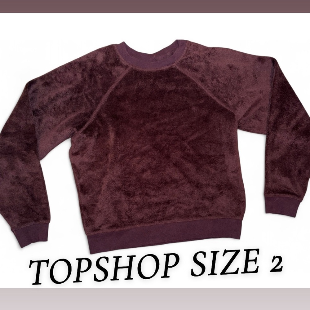 Topshop Burgundy Velour Crewneck Sweatshirt Size 2